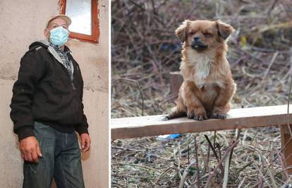 Pas kojem je poginuo vlasnik je nestao, obitelj je očajna: Vratite nam Medenu, tužni smo bez nje