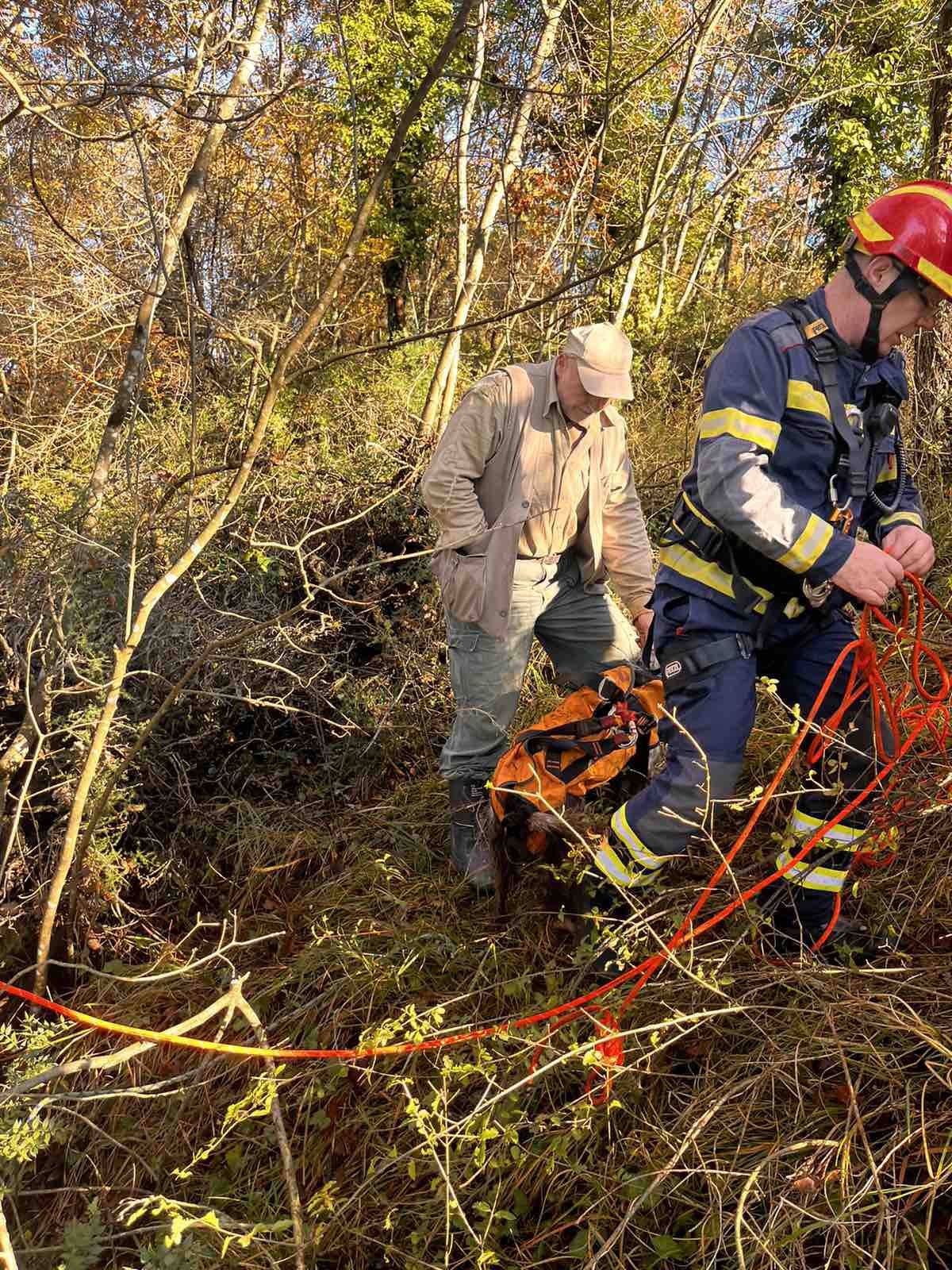 Vatrogasci izvadili psa iz jame od 30 metara u Istri: 'Na sreću, Bafi nije polomio nijednu kost'