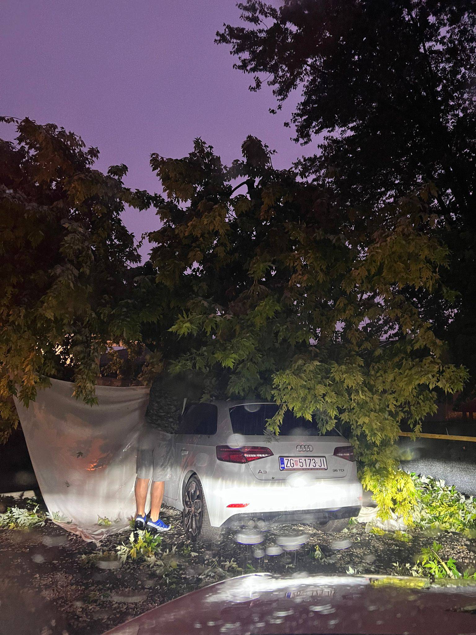 VIDEO Drvo u Zagrebu palo na automobil: 'Apeliramo mjesnom odboru već godinu dana...'