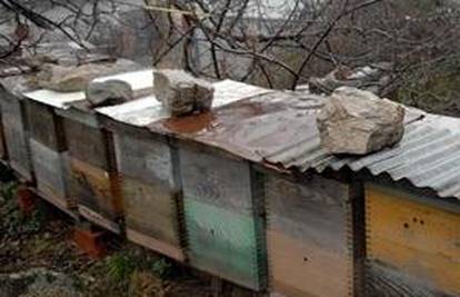 Izgorjelo deset košnica s pčelama, šteta 15.000 kn