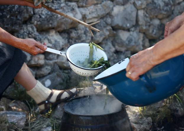 Vodice:Tradicionalni prvosvibanjski piknik u Rakitnici,spremanje divljeg zelja i pulente.