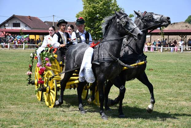FOTO U znaku tradicije: Na 44. manifestaciji 'Konji bijelci' vozile su se i svadbarske kočije