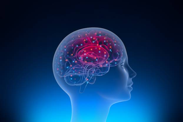 Najpametniji na svijetu: 50 ljudi s najvećim IQ rezultatom ikad