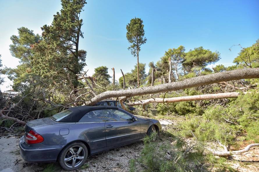 Zadar nakon olujnog nevremena: SruÅ¡ena stabla, uniÅ¡tene kuÃ¦ice u novom kampu