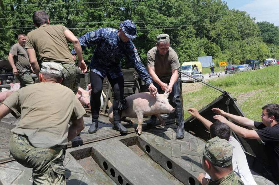 Marko Mrkonjić/PIXSELL