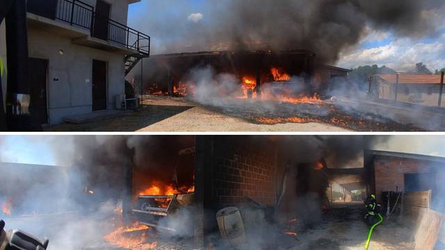 FOTO Satima gasili veliki požar kod Požege: Pomagali i radnici restorana, izgorjelo 10 svinja