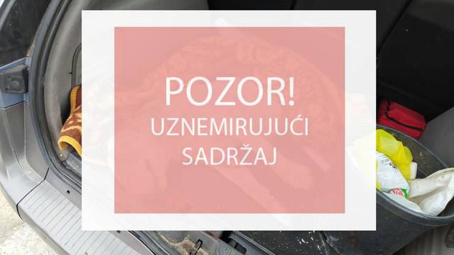 'Naš Kličko je udaren po glavi i izboden 37 puta. Umirao je blizu nas, a nismo mu mogli pomoći'