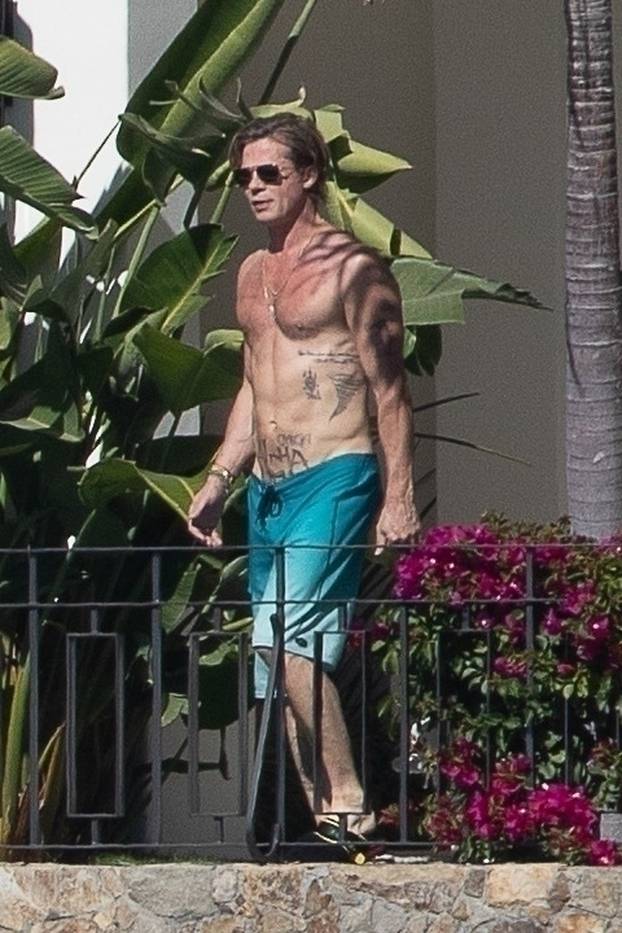 *PREMIUM-EXCLUSIVE* Brad Pitt seems to be getting VERY serious with his new girlfriend Ines de Ramon as the hot new couple are seen enjoying some time under the sun together in Cabo.