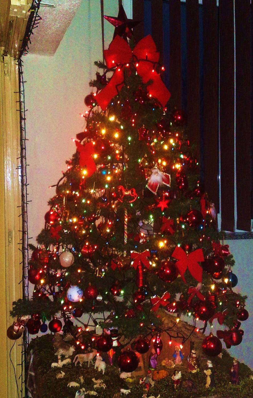 Šaljite fotografije božićnih jelki i osvojite vrijednu nagradu...