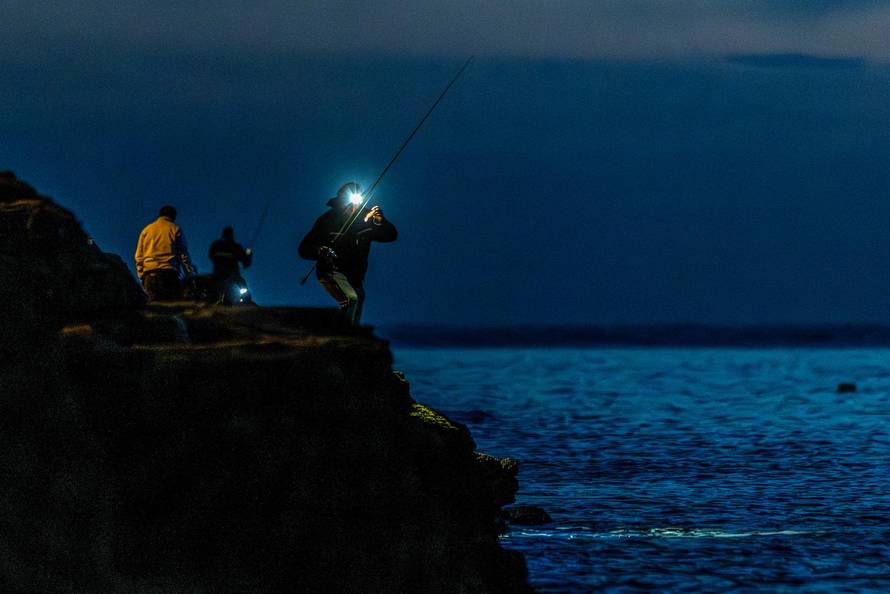 Pula: Noćni lov na lignje 