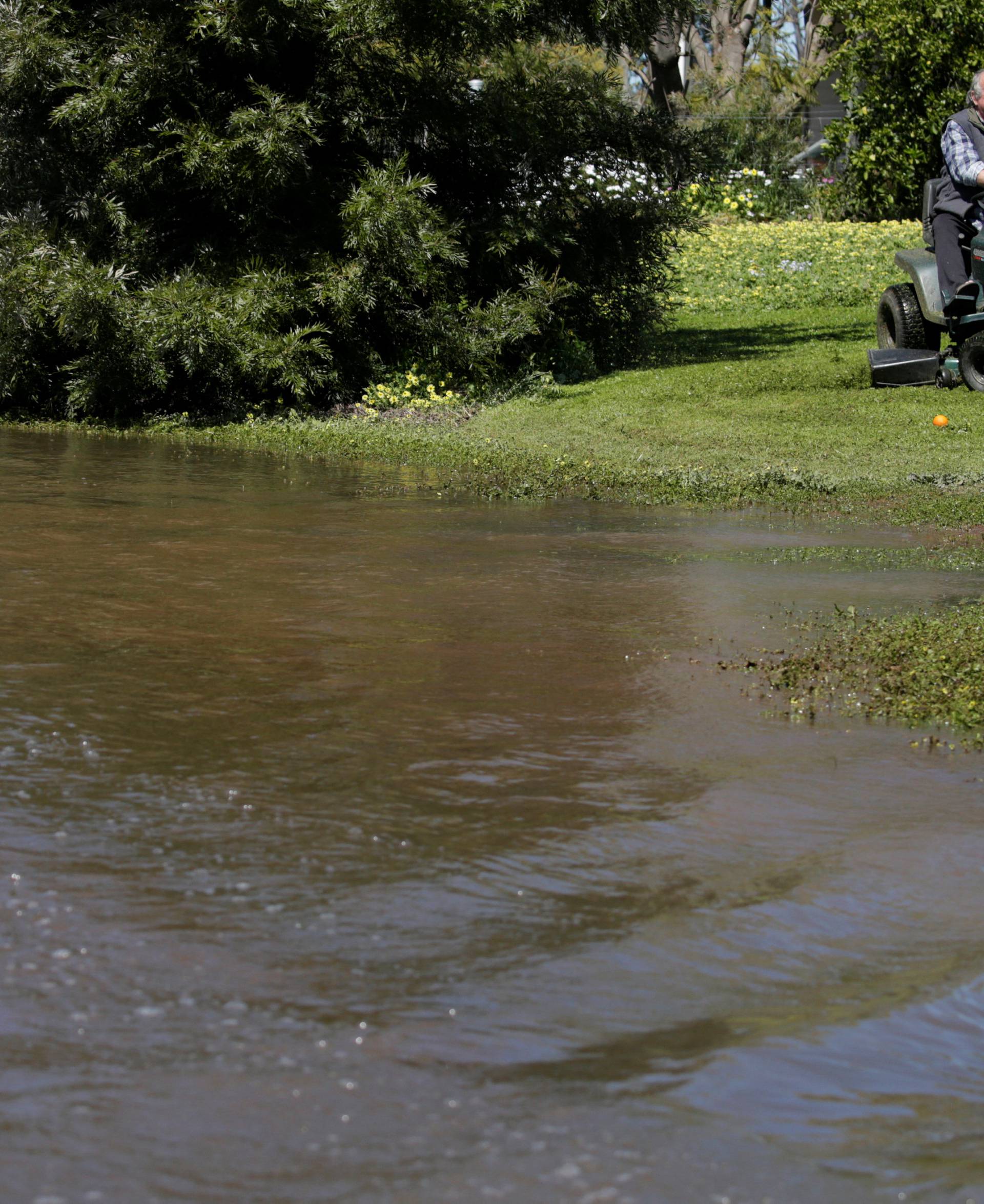 A man mows his front lawn as floodwaters lap at his home following heavy rains in the midwestern New South Wales town of Forbes