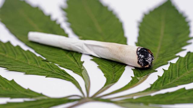 Joint auf einem Cannabisblatt, joint on a Cannabis leaf