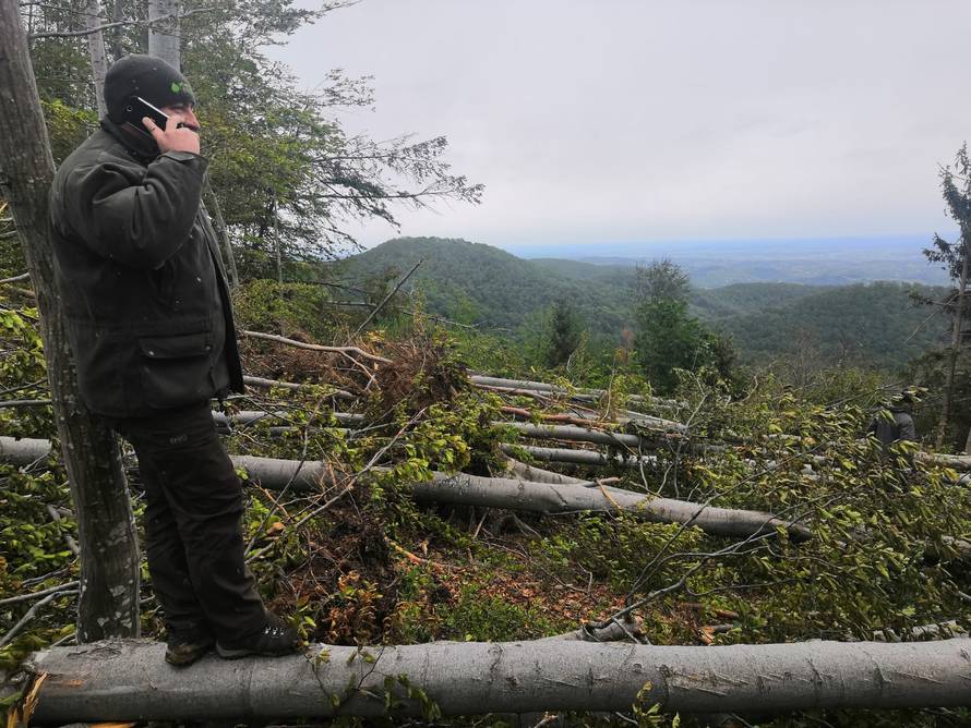 Prizor katastrofe: Oluja srušila stotine stabala na Medvednici