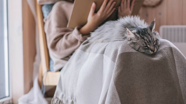 Je li vašoj mački hladno? Top savjeti kako prepoznati da joj je prohladno i kako je zagrijati