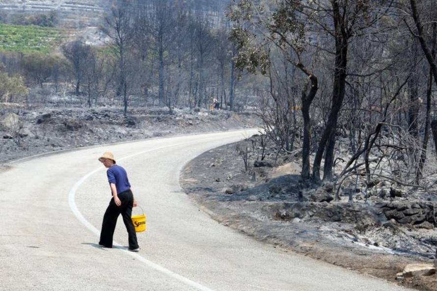 Grgo Jelavić/Pixsell