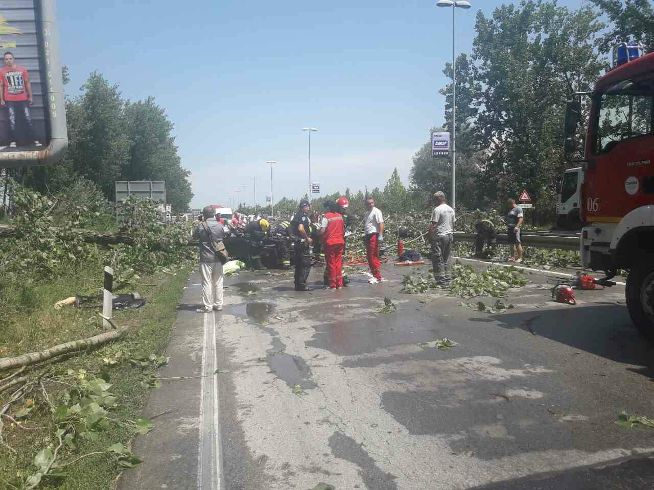 Stablo smrskalo auto: Poginula žena, suvozač teško ozlijeđen