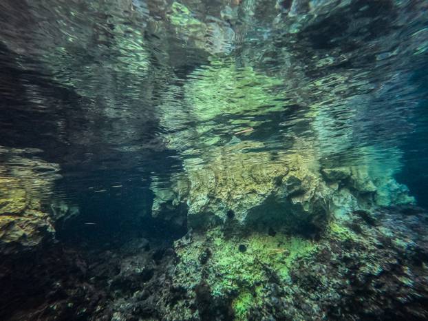Vela Luka: Podmorje južne strane otoka Korčule