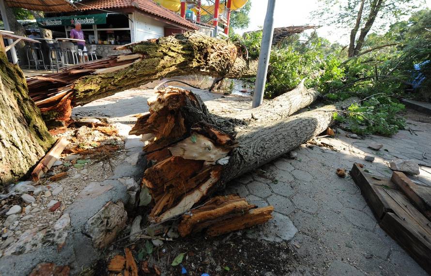 Hrvoje Jelavić/PIXSELL