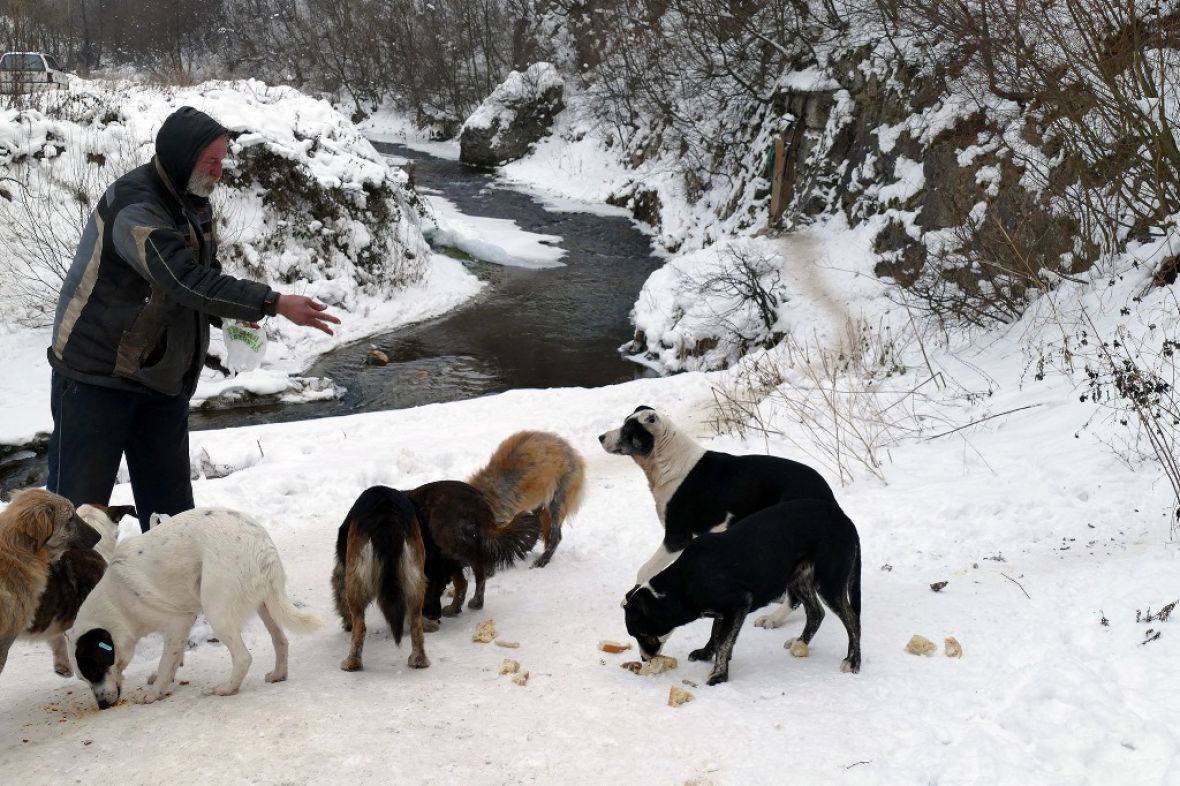 Žarko već osmu godinu živi u špilji: 'Pomažu mi dobri ljudi...'