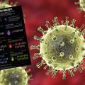 Hantavirus, gripa, mers, ebola: Evo koliko je koji virus zarazan