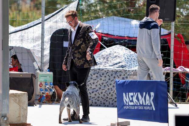 Zaton: Međunarodna izložba pasa pod nazivom CACIB Zadar 2025