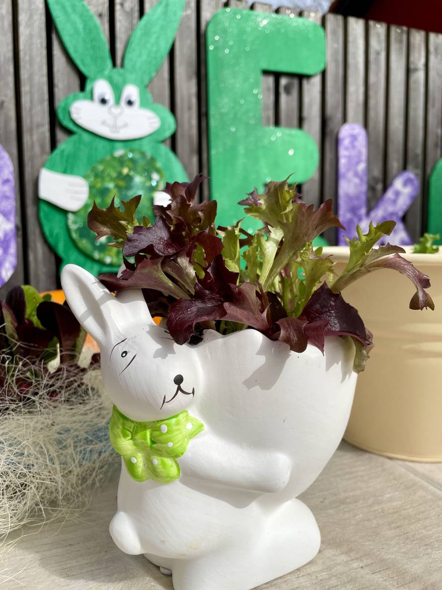 U ZOO vrtu Zagreba: Zabava i interaktivna edukacija za djecu, a tražit će se i zekino blago...