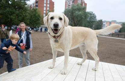 Dog friendly: Pasmine koje se najbolje slažu s drugim psima