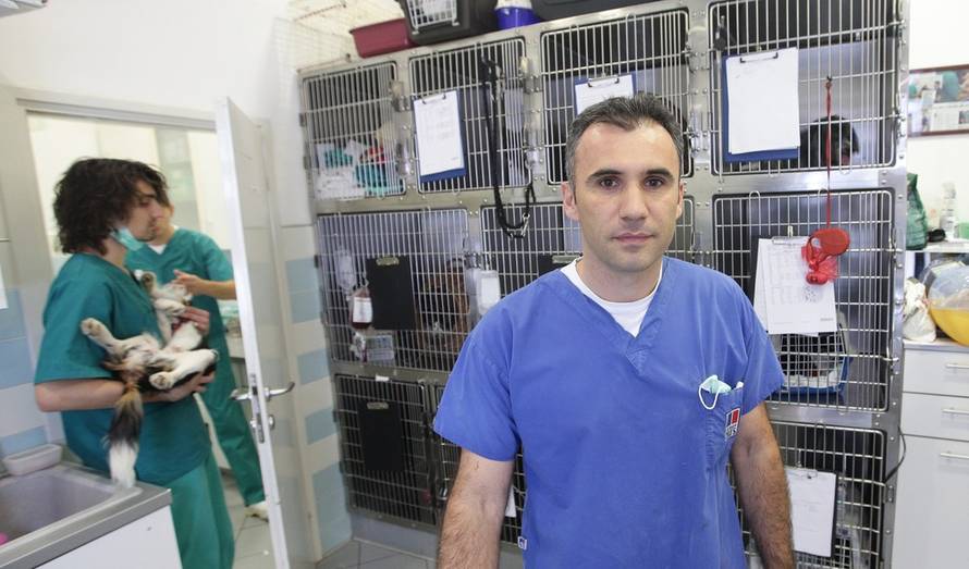 Željko Lukunić/PIXSELL