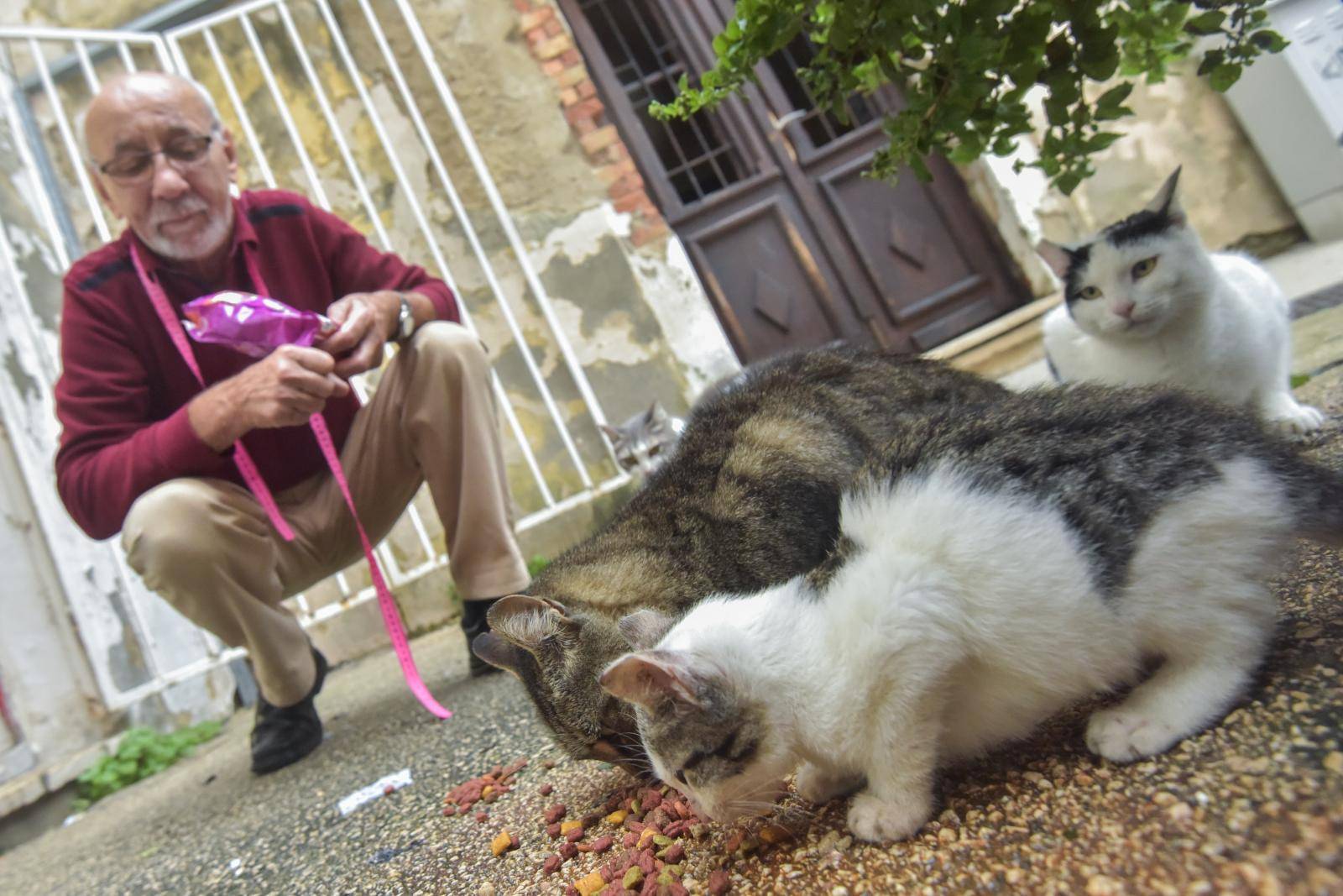 Krojača Matu Ž. vole Zadrani, ali i mace koje redovito hrani