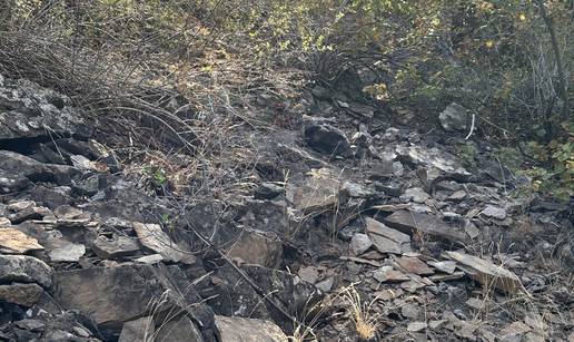 Fotografija izluđuje internet: Imate li 'snajperski vid' da pronađete zmiju na ovoj slici?