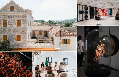 Kamene kuće na Zlarinu postale su prvi hrvatski muzej koralja: 'Crvena kakvu još niste vidjeli'
