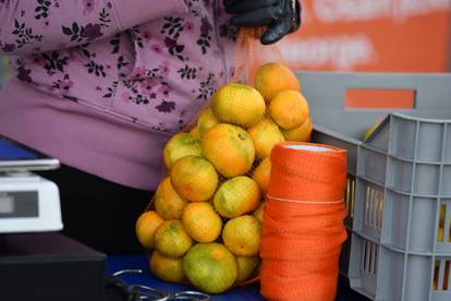 FOTO Neretvanske mandarine u Šibeniku, pogledajte cijenu...