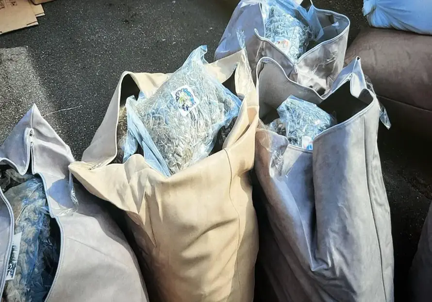 Europol uhitio vođu kartela iz Crne Gore: Vlasnik je firme za trgovinu orašastim plodovima