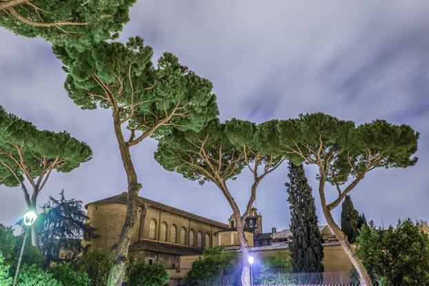 Orange Garden in the Night