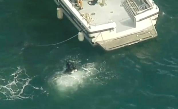 Diver is seen entering the water from rescue vessel after a seaplane crashed into a Sydney river