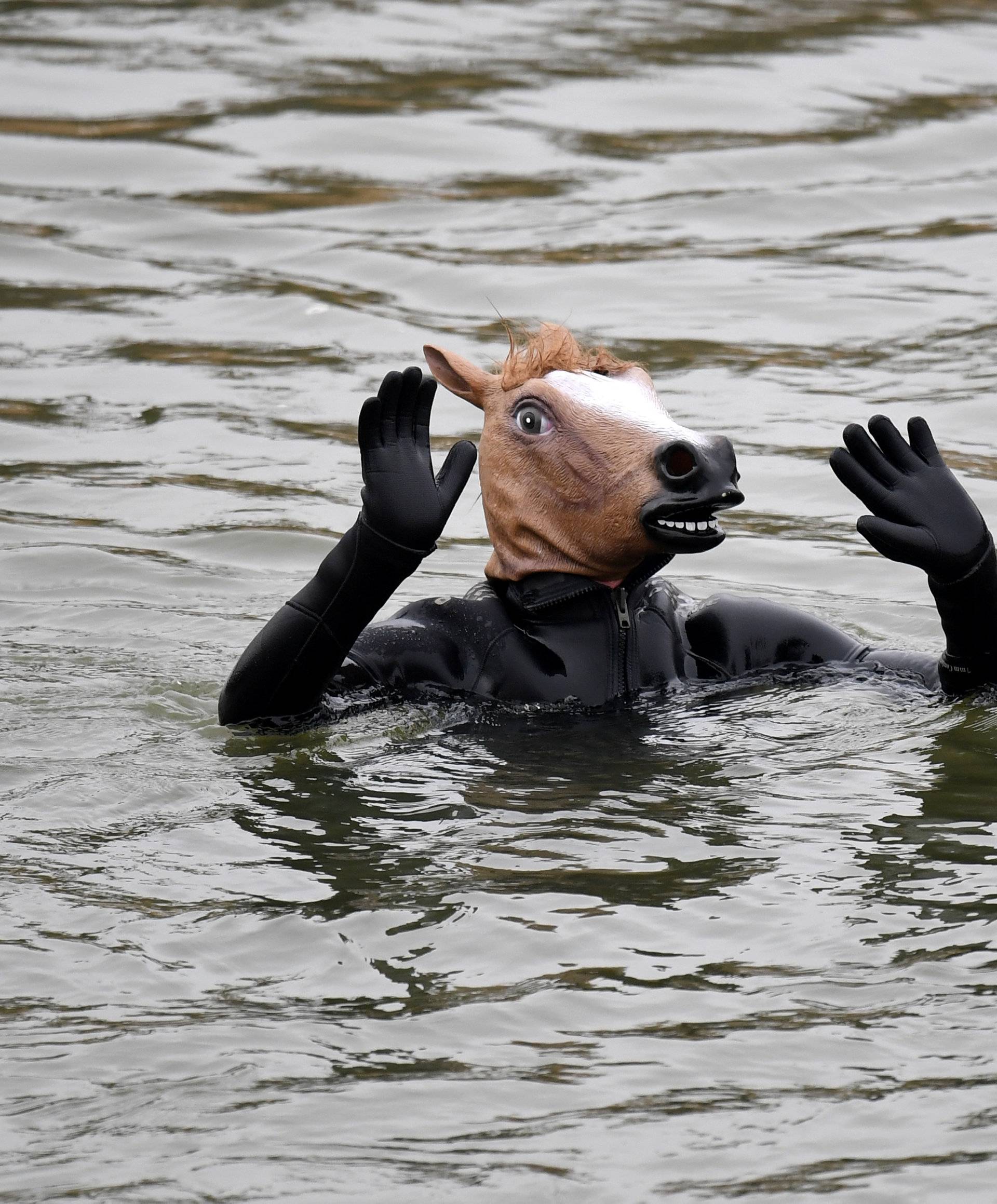 A swimmer wearing a horse costume bathes in the 3 degrees Celsius water of the river Danube in Neuburg an der Donau