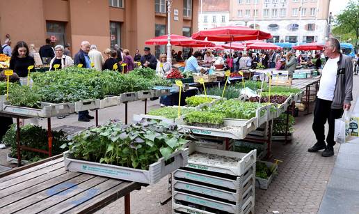 FOTO Splavnica na Trgu puna je presadnica: Evo koje su cijene