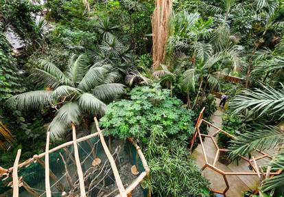 Tropski botanički vrt prepun fascinantnih životinja ponovno je otvoren za posjetitelje
