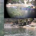 Opet fekalije u moru! Kupanje zabranjeno na otoku Koločepu