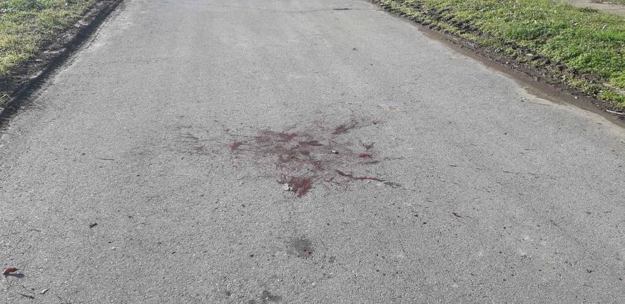 'Susjedov mješanac rastrgao je našeg psa Rikija. I nikom ništa'