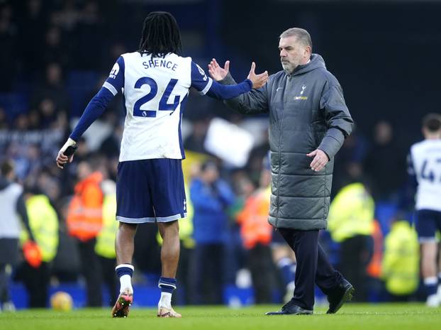 Everton v Tottenham Hotspur - Premier League - Goodison Park
