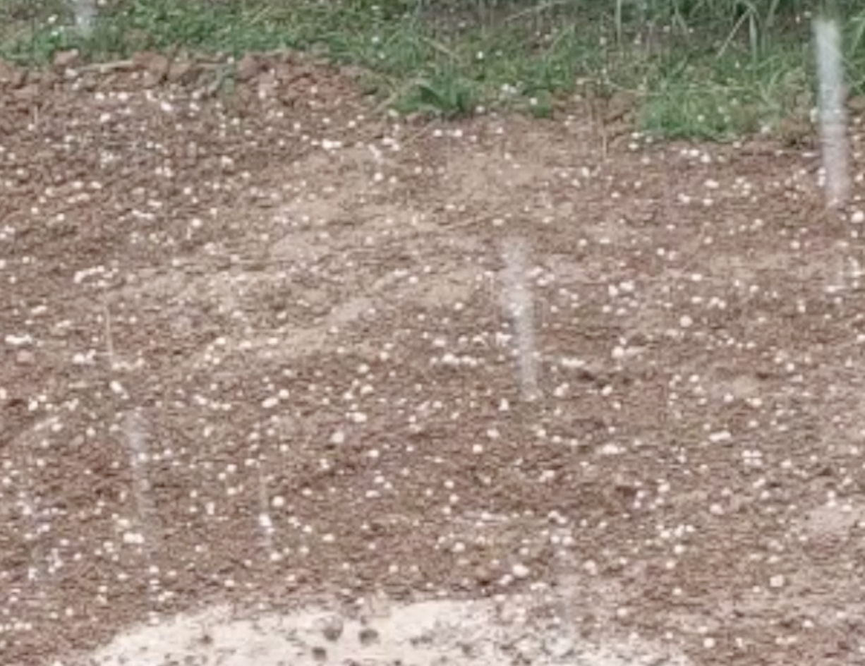 VIDEO: Tuča nakon Varaždina poharala Podravinu, oblaci se sele prema istoku zemlje