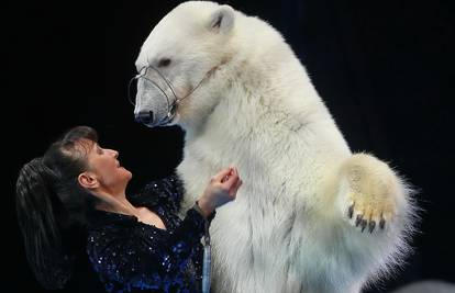 Europarlamentarci traže zabranu korištenja divljih životinja u cirkusima