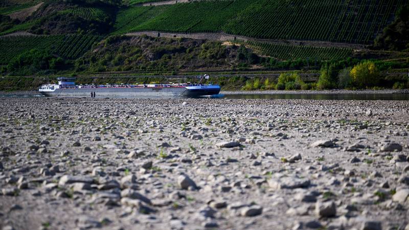 Europa na koljenima zbog suše, a tlo je poput betona: Zbog ove pojave prijete velike poplave!