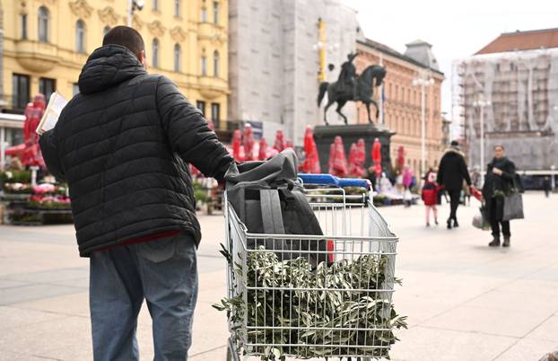 Zagreb: Prodaja maslinovih grančica uoči Cvjetnice