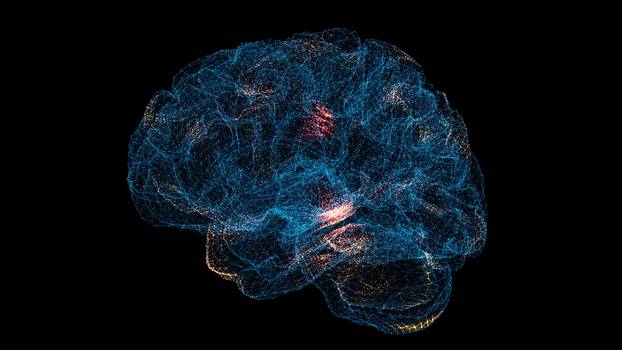 3D Brain Scan. Brain Scanning Interface. HUD Brain analyze. Medical Science Anatomy concept. For title, text, presentation. 3d animation.