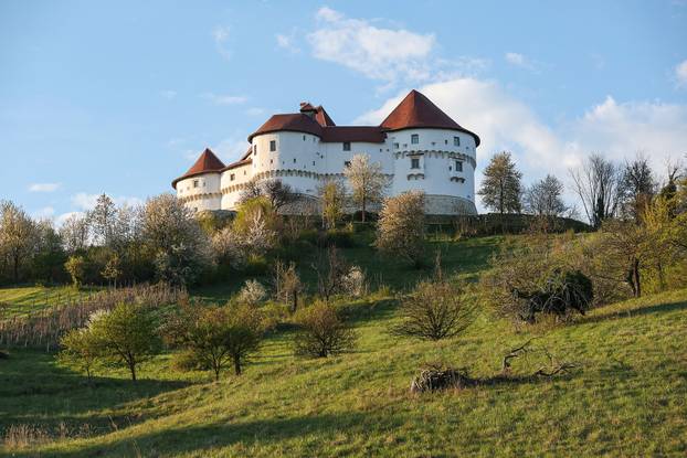 Kod Dvora Velik Tabor top usmrtio muškarca