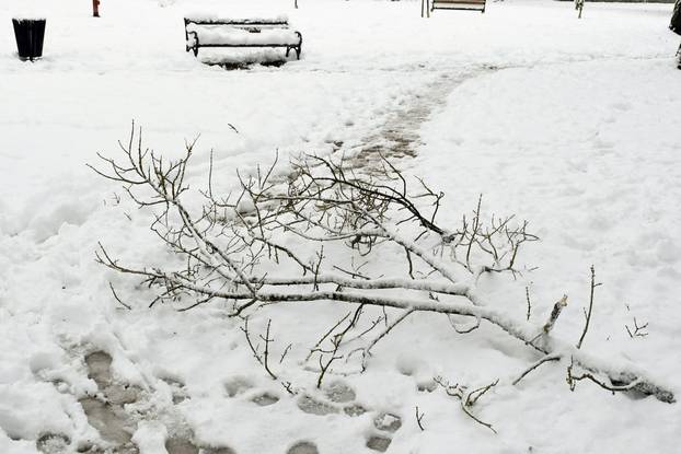 Sisak: Polomljene grane zbog težine snijega