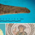 Drveni rimski dildo star 2000 godina: 'Vidi se da je često korišten po glatkoj površini'