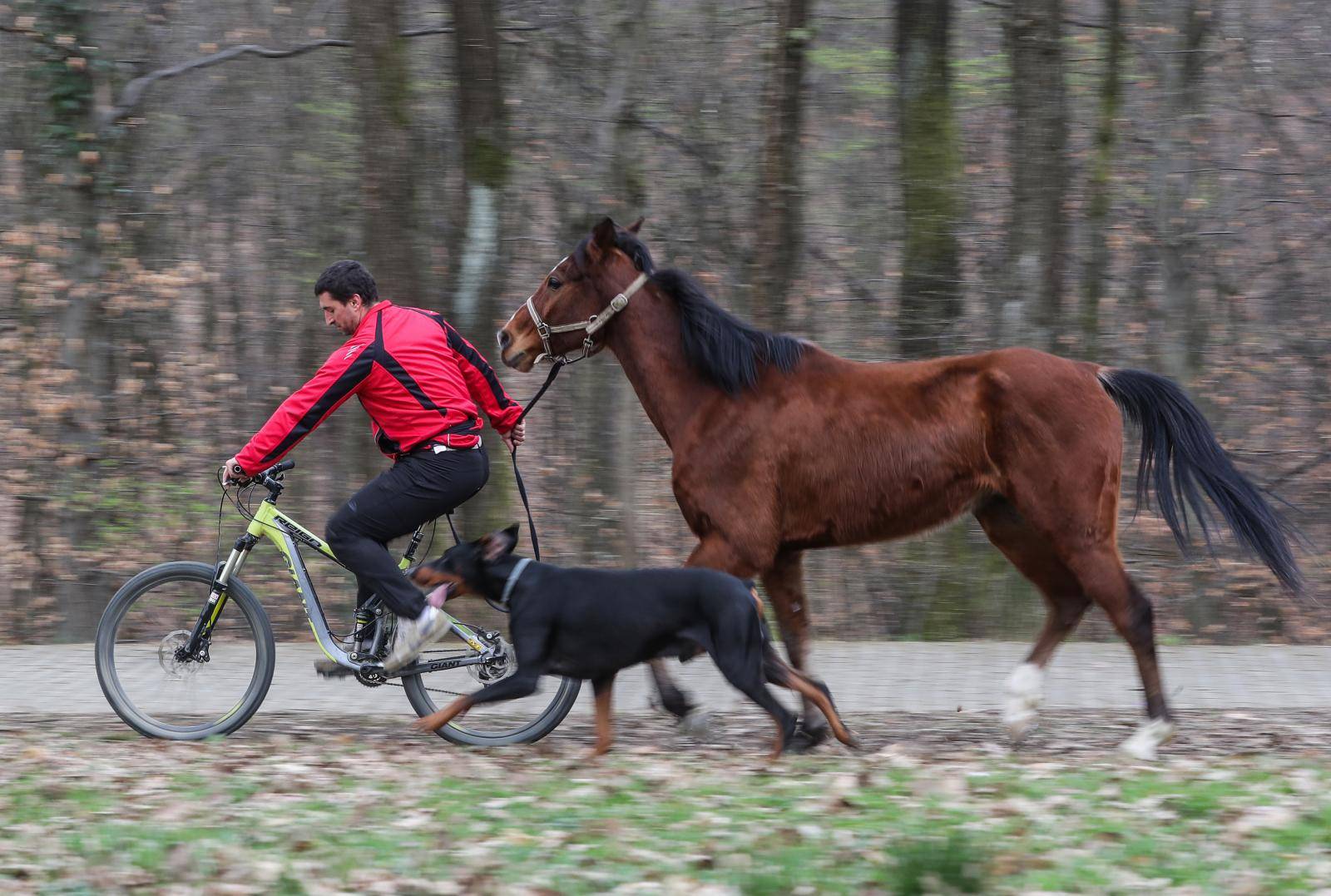 'Moj konj Kasper i ja jurimo šumama čak do 60 km na sat'